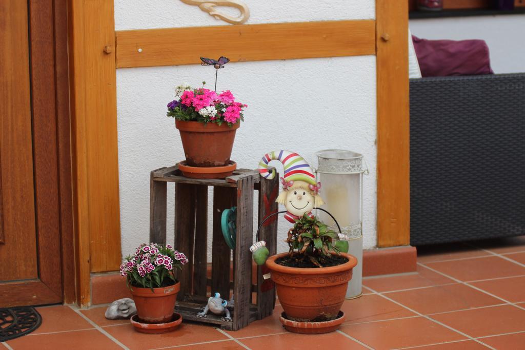 Haus Winkelchen Villa โคเคห์ม ภายนอก รูปภาพ